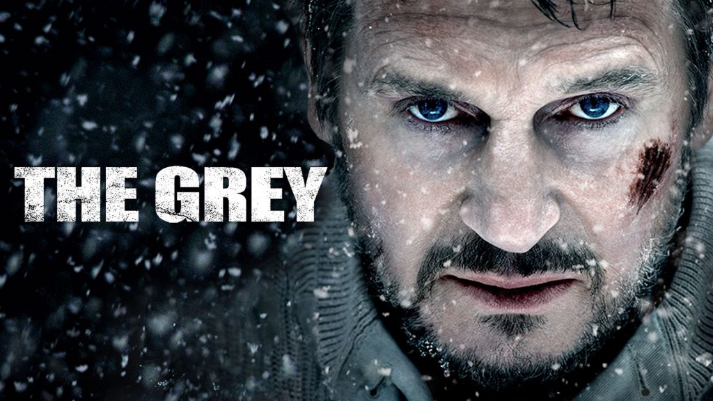 Top 10 Best Liam Neeson Movies You Can’t Miss - 4